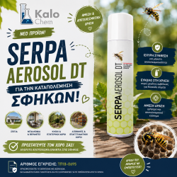 SERPA AEROSOL DT 600ml (για σφήκες)